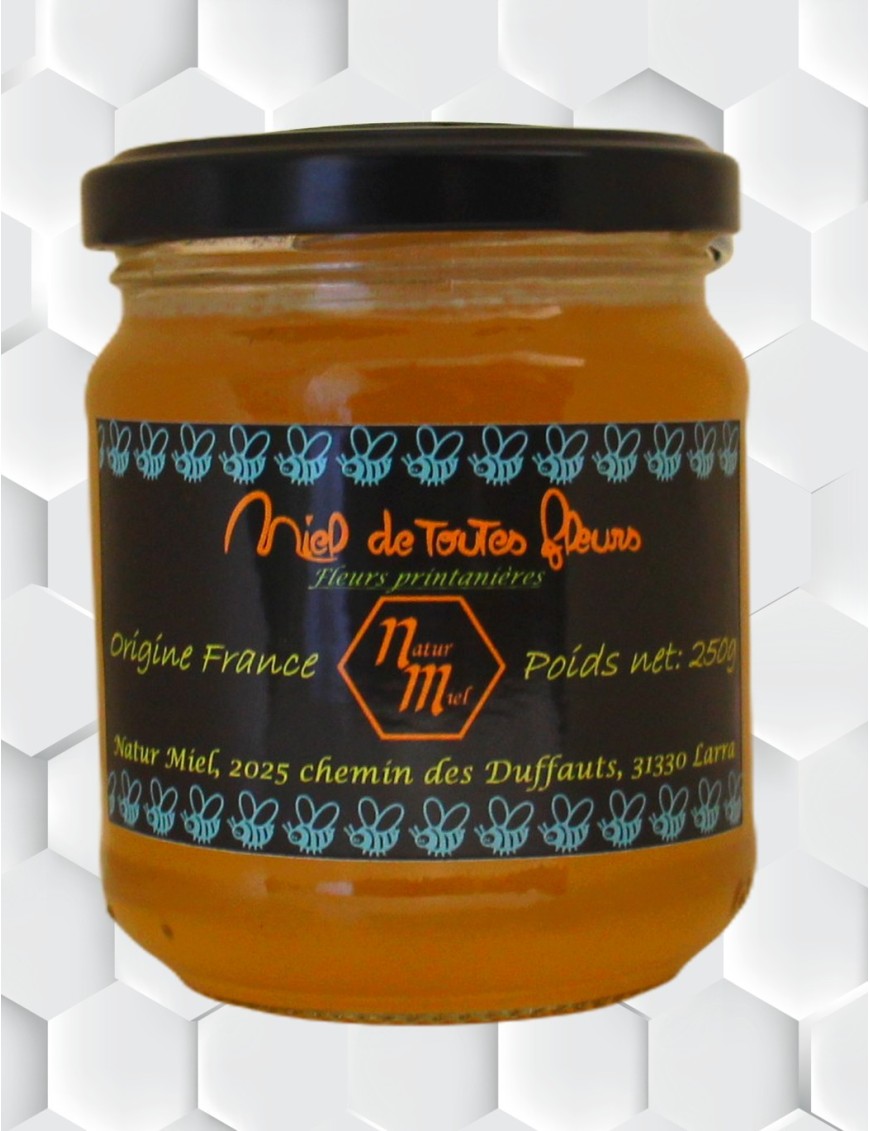 Miel de Printemps 250g